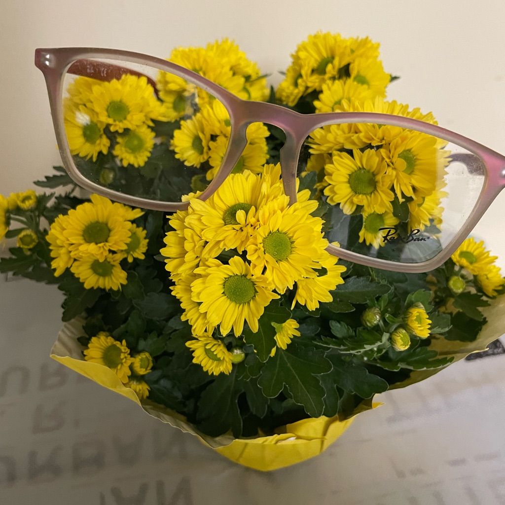 Original Ray Ban Frames